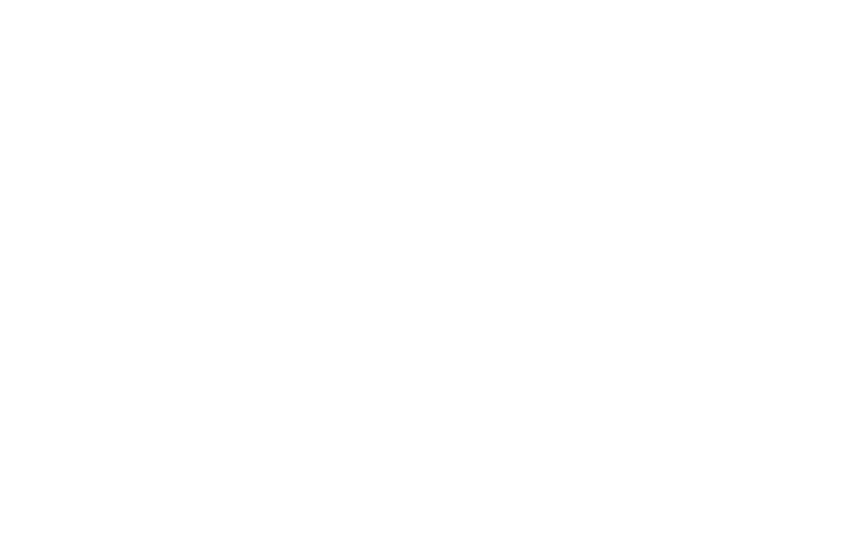 Logo footer